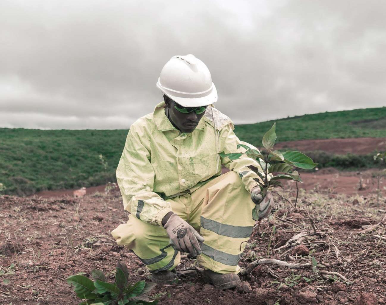 man in high vis planting a seedling